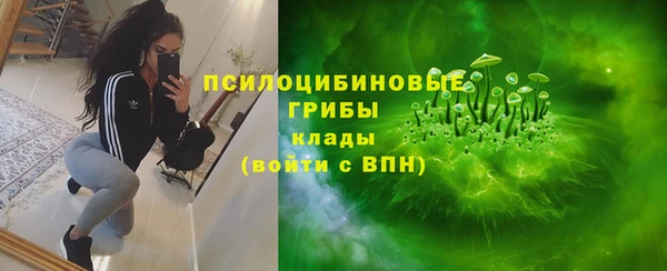 spice Верея