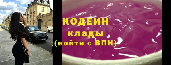 амф Верхний Тагил
