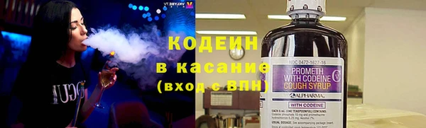 амф Верхний Тагил