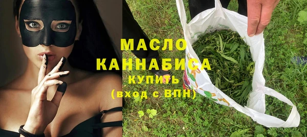 амф Верхний Тагил