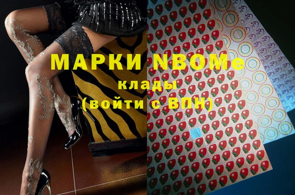 амф Верхний Тагил