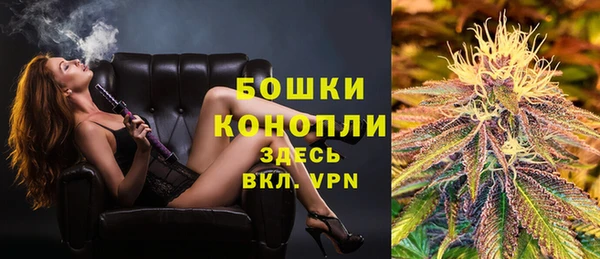 spice Верея