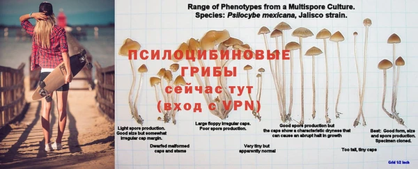 амф Верхний Тагил
