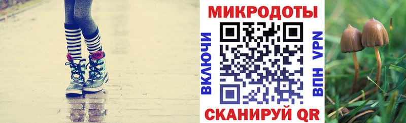 наркошоп  mega как войти  Галлюциногенные грибы прущие грибы  Кемь 