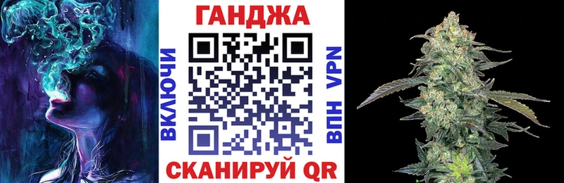 как найти   Кемь  OMG ONION  Бошки Шишки Amnesia 